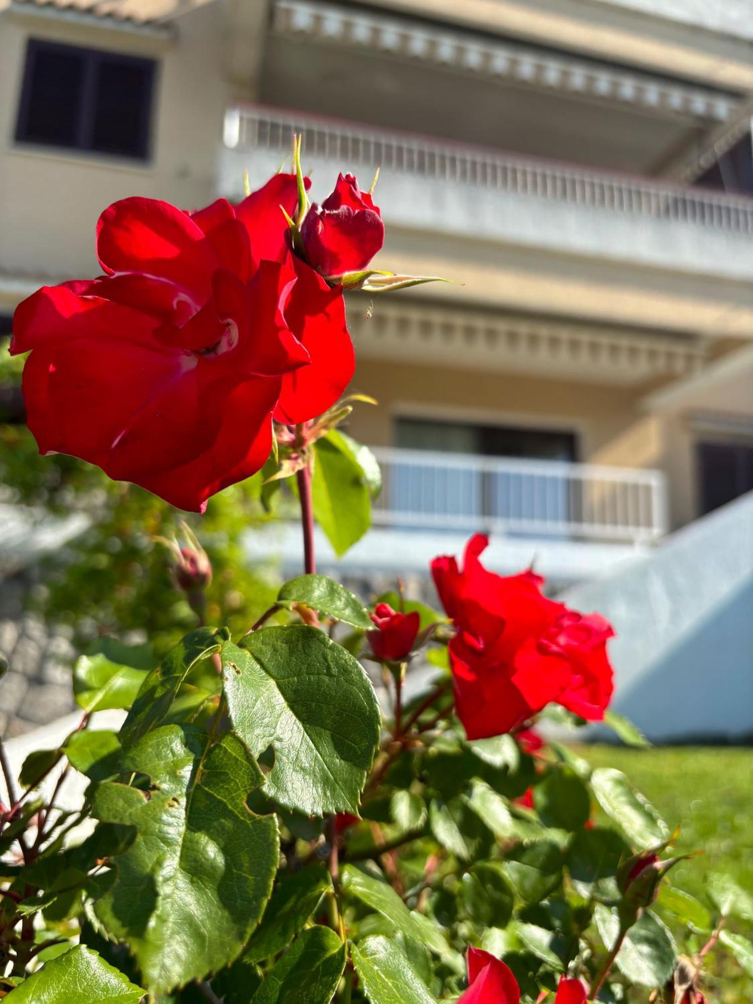 Va Kastav Apartment Ngoại thất bức ảnh